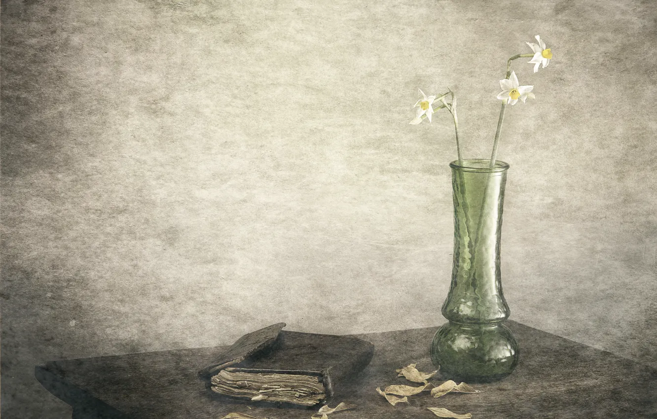 Фото обои листья, рисунок, ваза, нарциссы