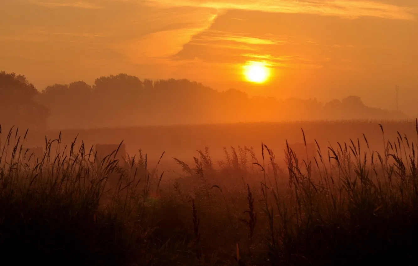 Фото обои поле, закат, природа, вечер