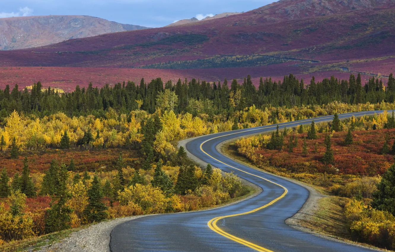 Фото обои дорога, осень, лес, деревья, Аляска