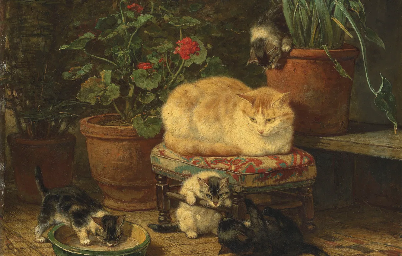 Фото обои кошка, масло, котята, Henriette Ronner-Knip, «Kittens at play»