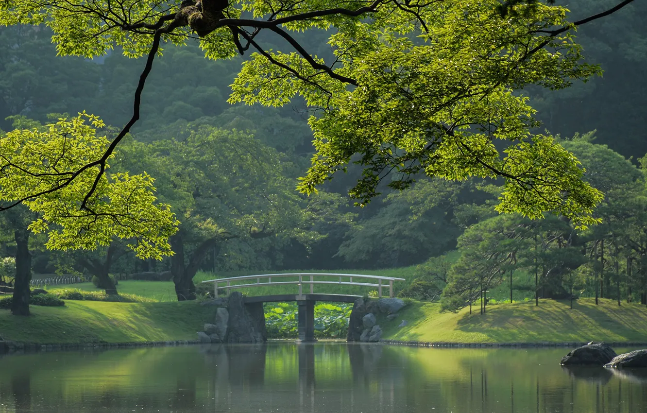 Фото обои Tokyo, Japan, мостик, городской парк