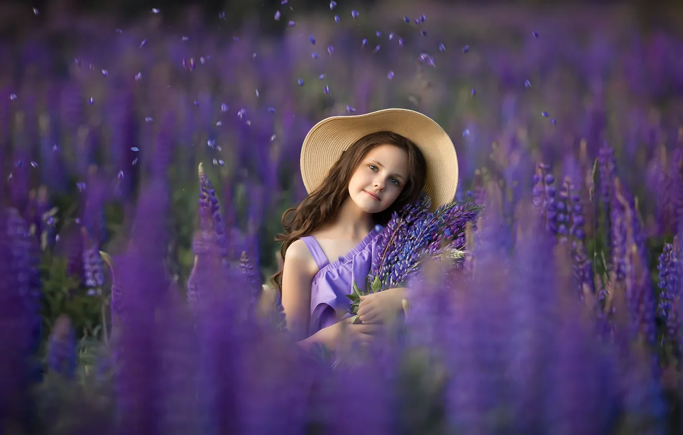 Фото обои поле, лето, цветы, природа, шляпа, девочка, ребёнок, люпины