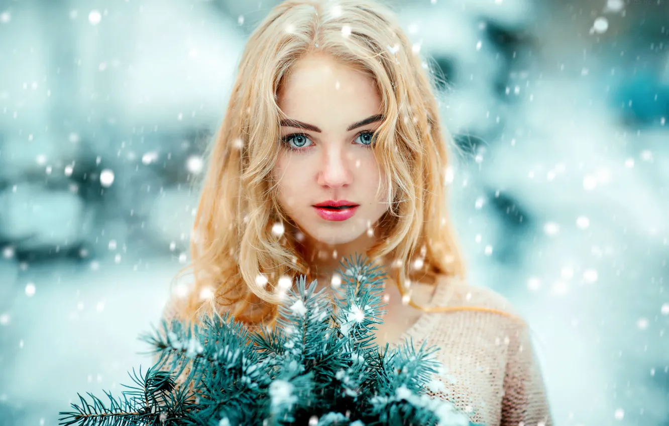 Фото обои взгляд, снег, лицо, настроение, блондинка, еловые ветки, Ольга Бойко