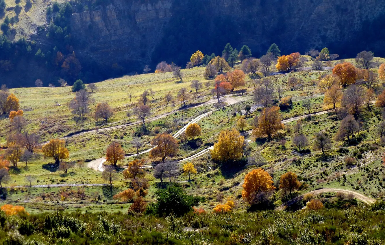 Фото обои дорога, осень, деревья, горы, Франция, склон, Прованс-Альпы-Лазурный берег, Курсегуль