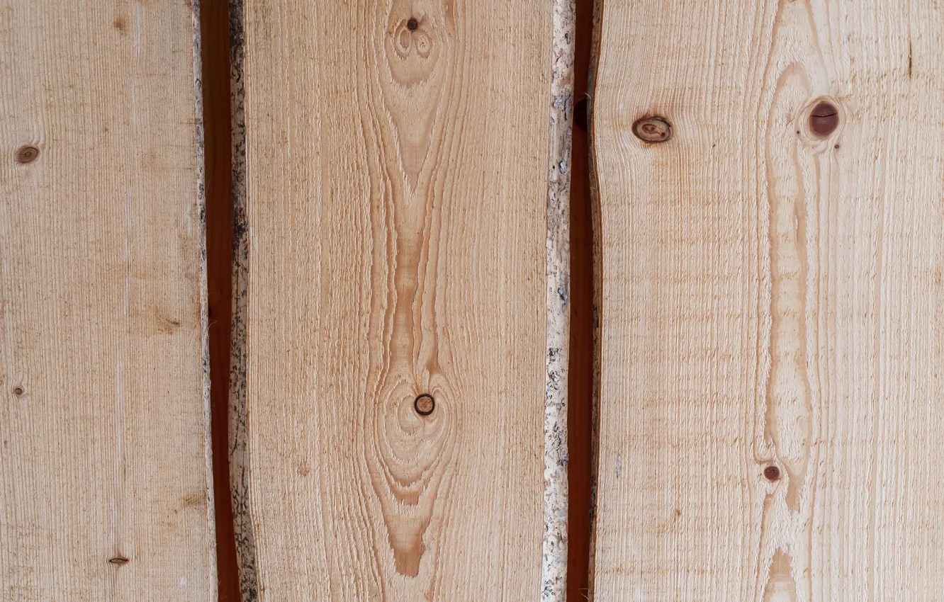 Фото обои colors, wood, knots