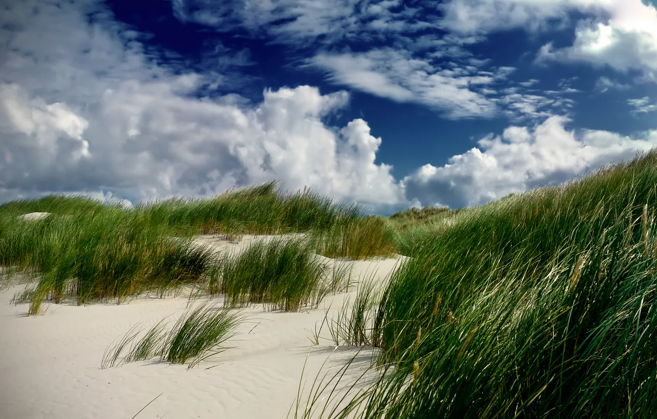 Фото обои песок, трава, облака, дюна