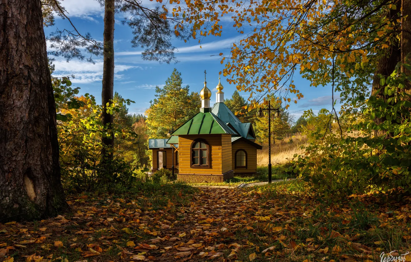 Фото обои осень, деревья, пейзаж, природа, церквушка, Илья Гарбузов