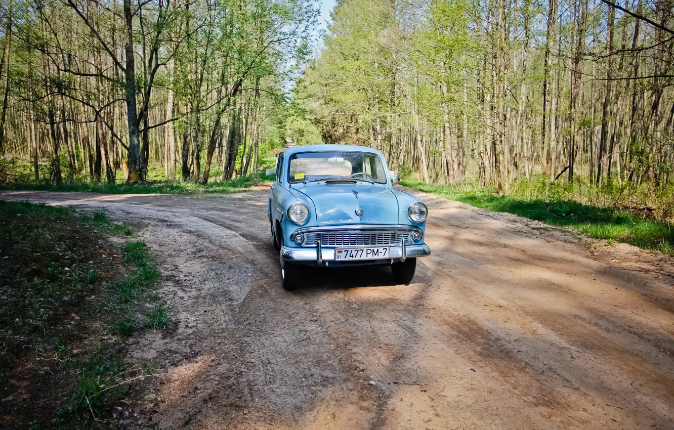 Фото обои лес, USSR, 407, Moskvich, Moskvich 407