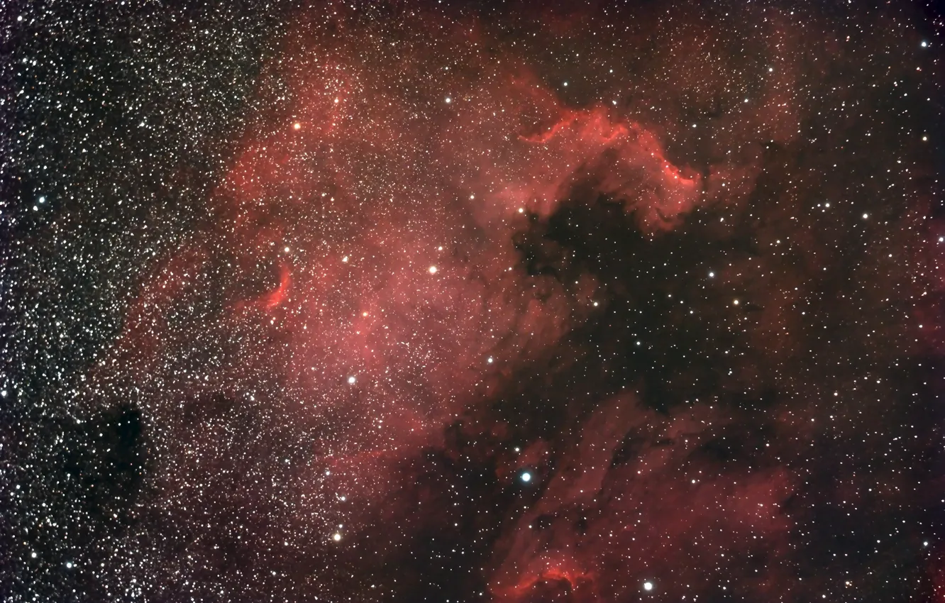 Фото обои космос, звезды, North America Nebula, NGC 7000
