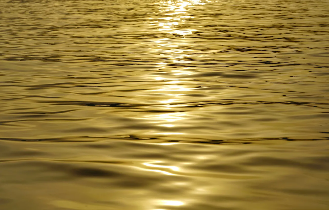 Фото обои солнце, закат, Вода