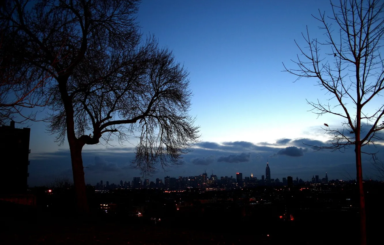 Фото обои деревья, вечер, Город, нью-йорк
