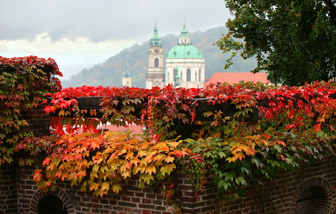 Фото обои осень, листья, город, прага