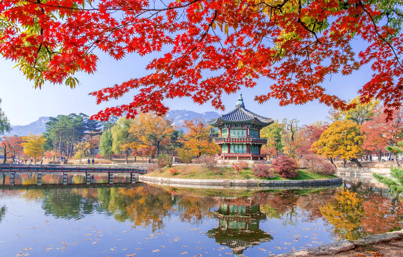 Фото обои осень, листья, деревья, парк, nature, park, autumn, lake