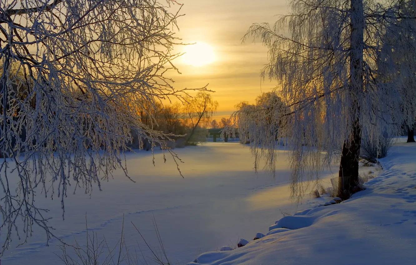 Фото обои зима, иней, лес, солнце, снег, деревья, восход, поляна