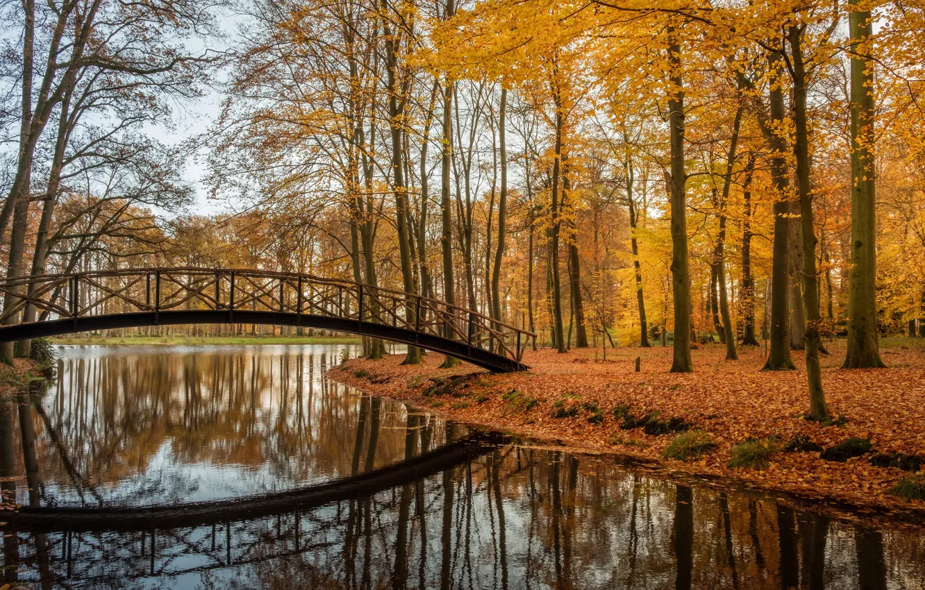 Фото обои осень, деревья, мост, озеро, парк, отражение, Нидерланды, Netherlands