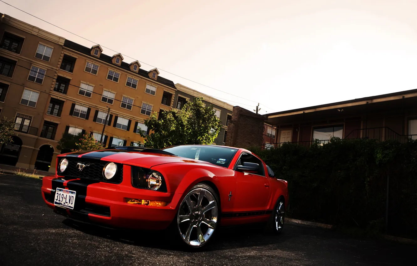 Фото обои красный, Mustang, Ford, мустанг, red, мускул кар, форд, спортивные полосы