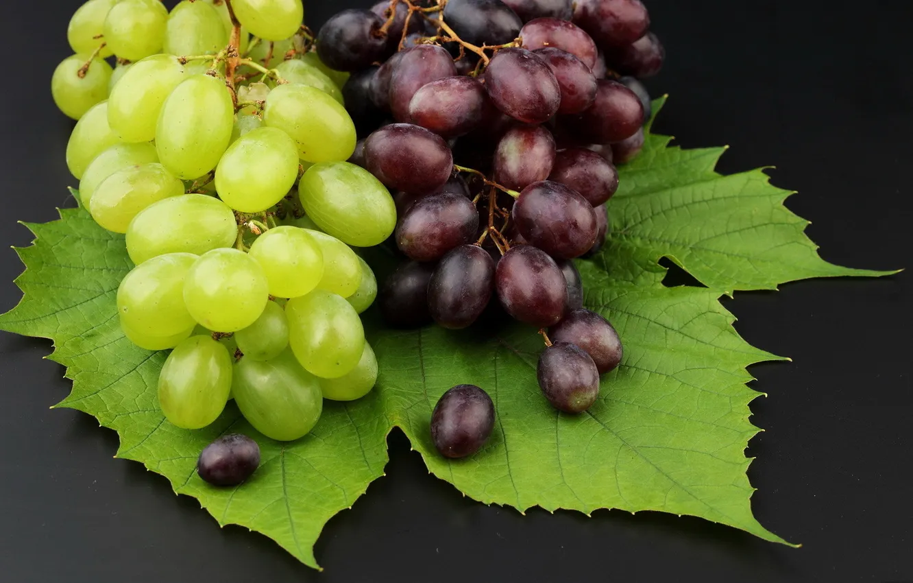 Фото обои листья, виноград, грозди