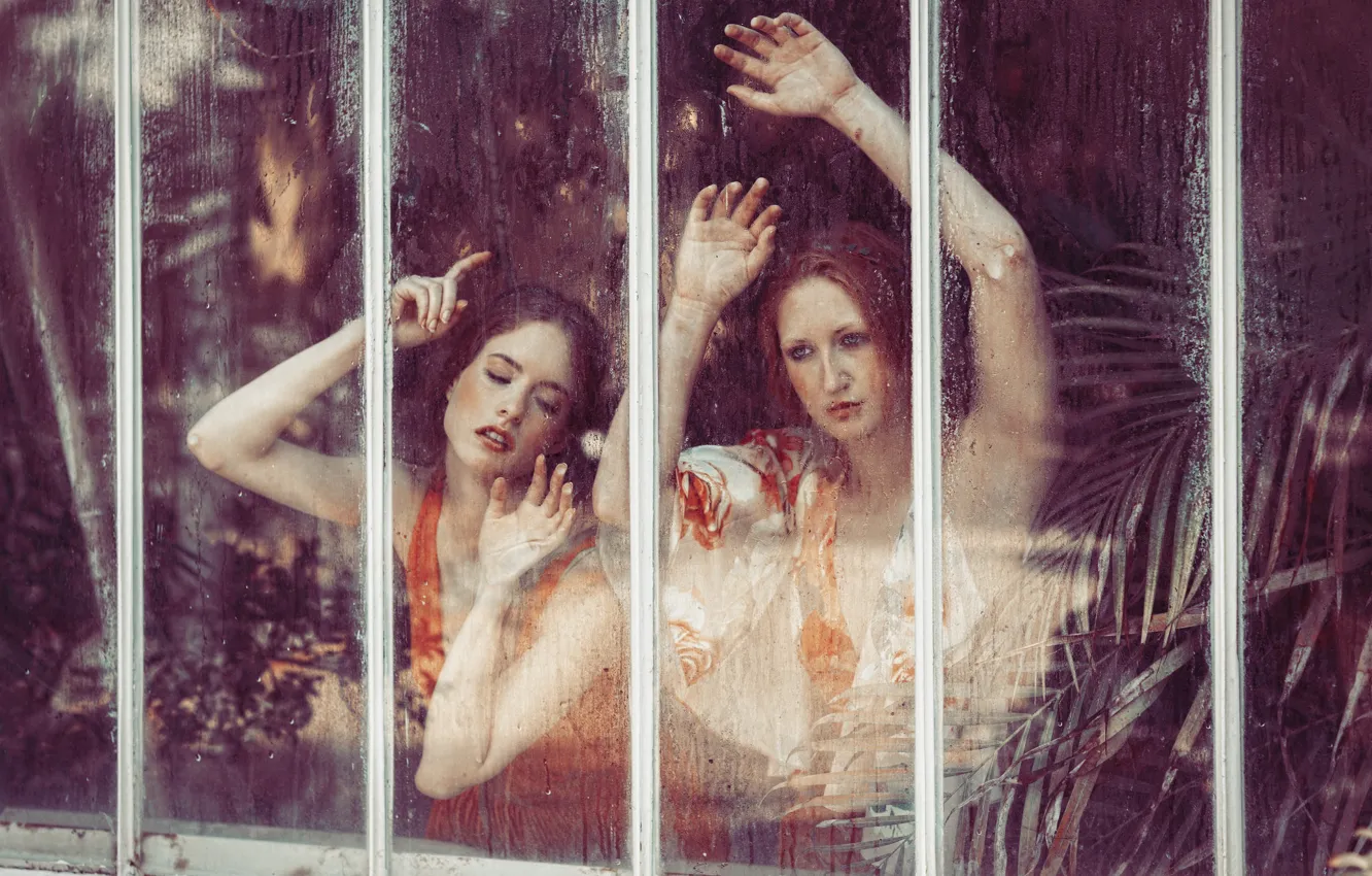 Фото обои стекло, девушки, руки, лица