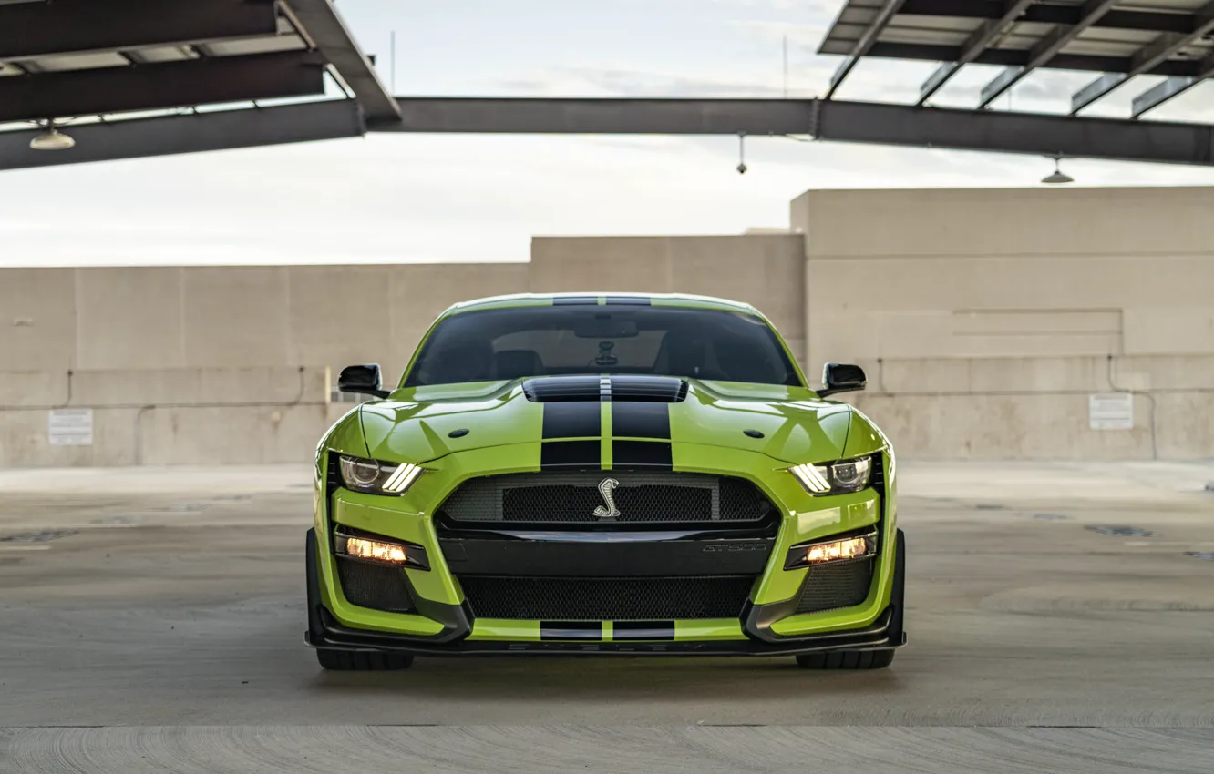 Фото обои Mustang, Ford, GT500, Green, Front, Face, Roof
