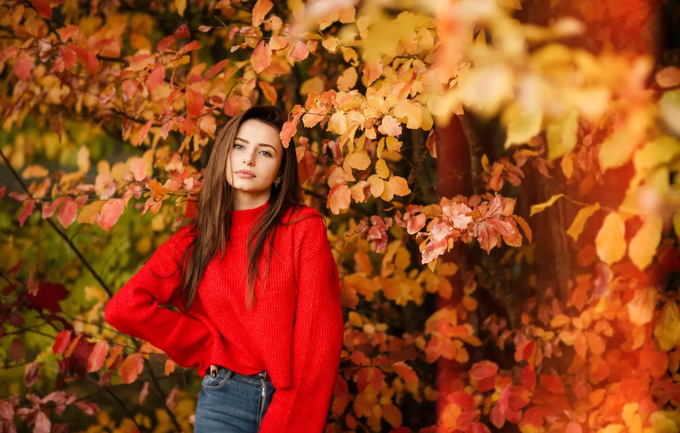 Фото обои red, girl, yellow, autumn, beauty, brunette, Sight