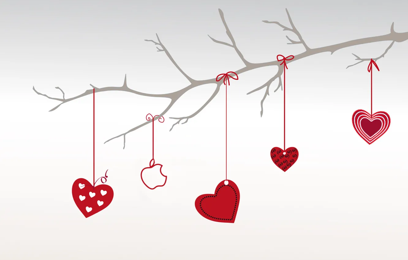 Фото обои сердце, apple, ветка, love, день святого валентина, Valentine\'s Day