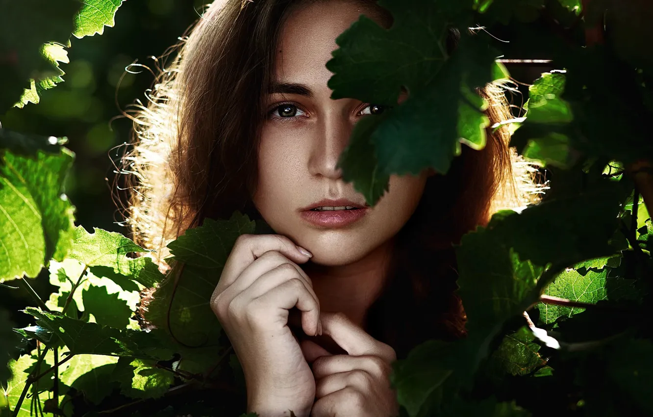 Фото обои листья, девушка, лицо, портрет, Polina, Ann Nevreva