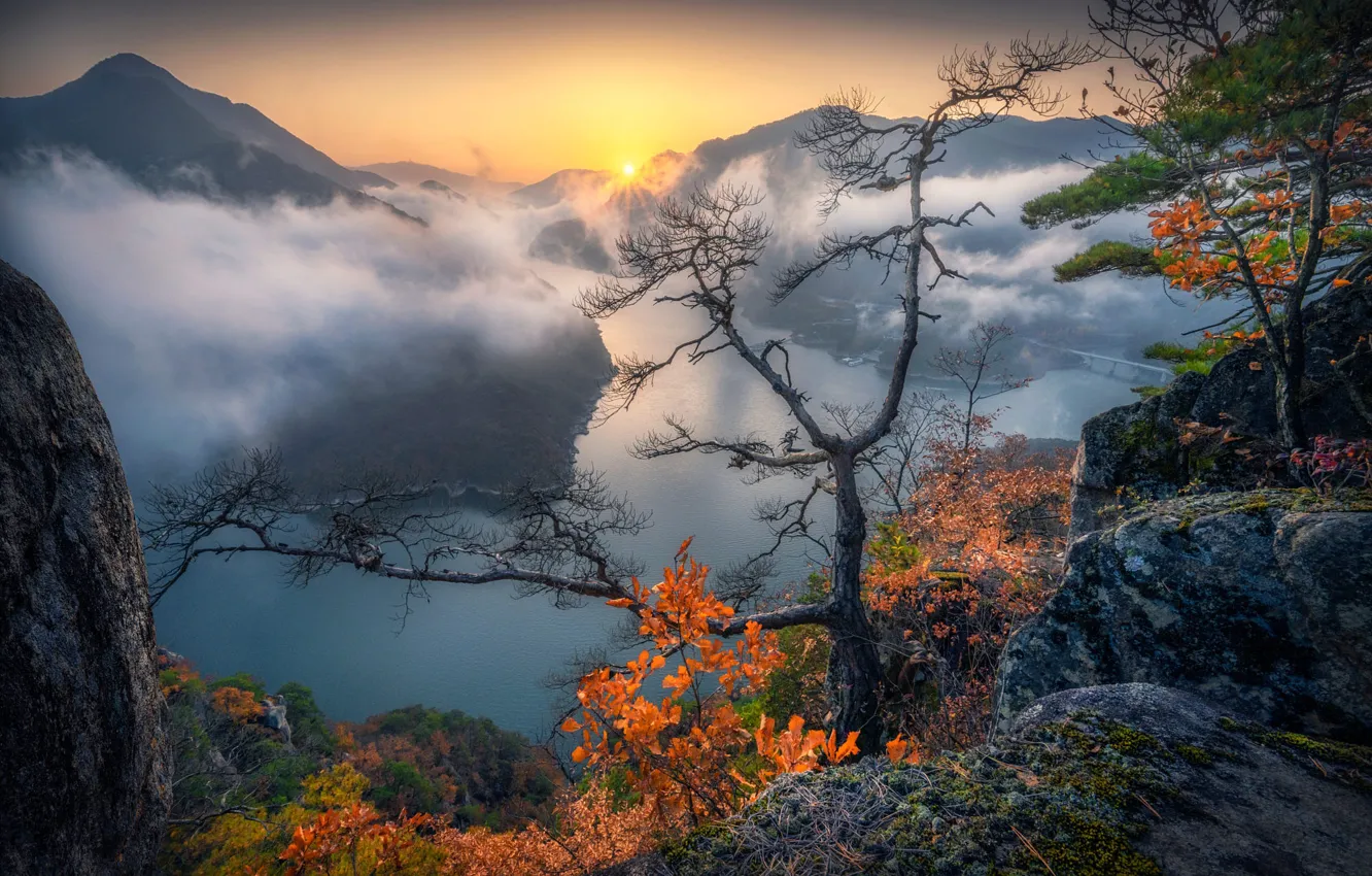 Фото обои осень, небо, горы, туман, дерево, скалы, листва, вид