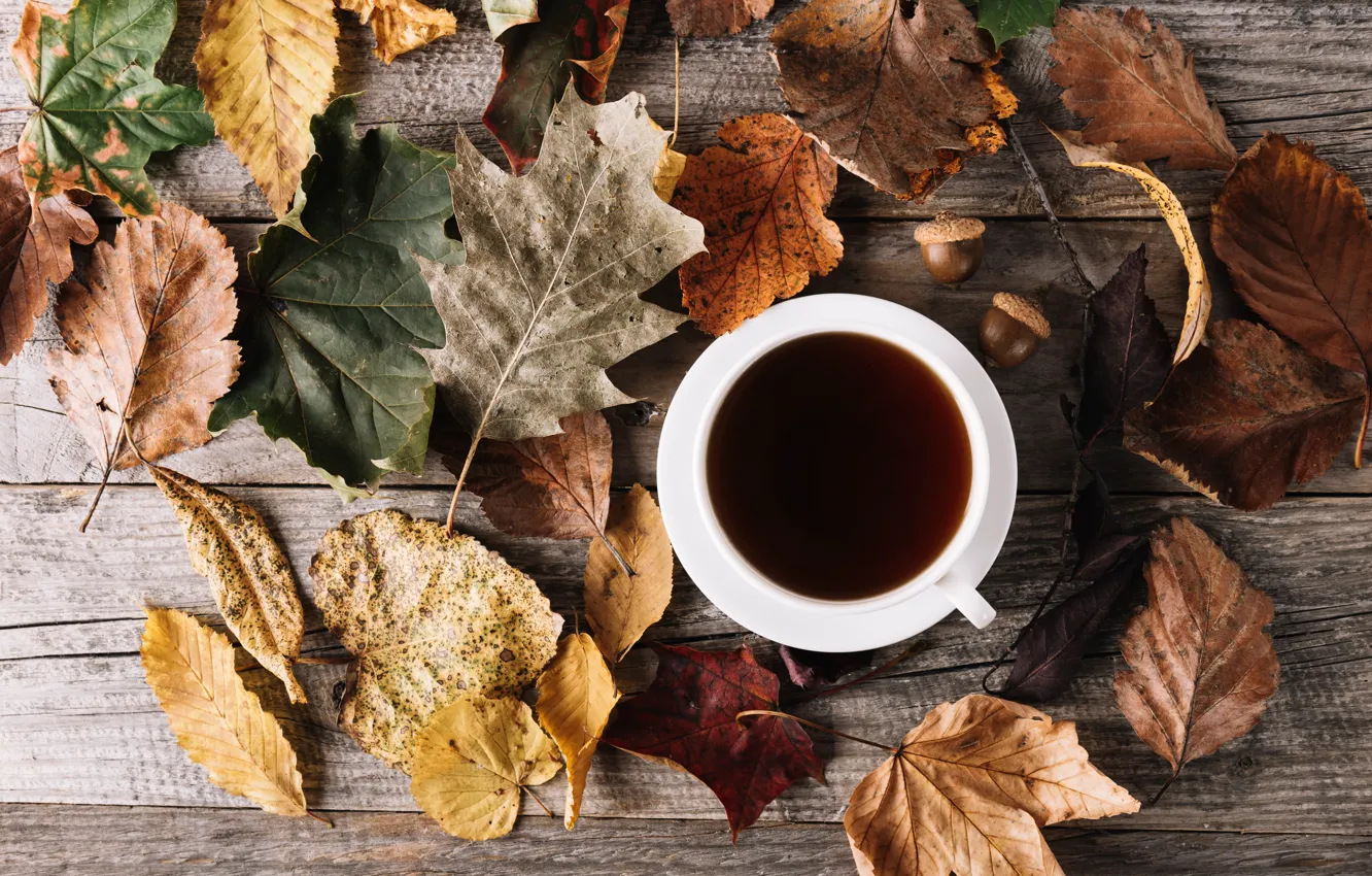 Фото обои осень, листья, кофе, чашка, wood, autumn, leaves, cup