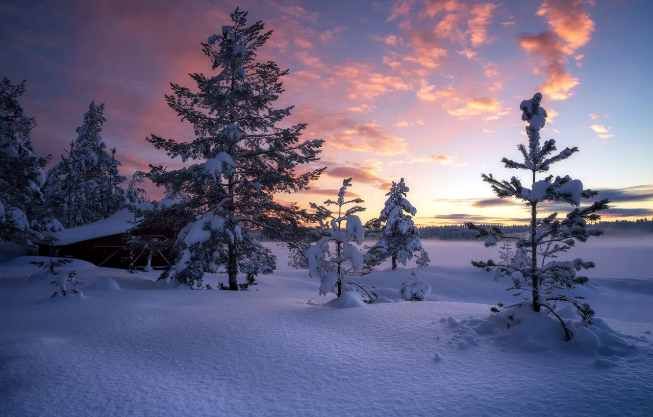 Фото обои зима, снег, закат