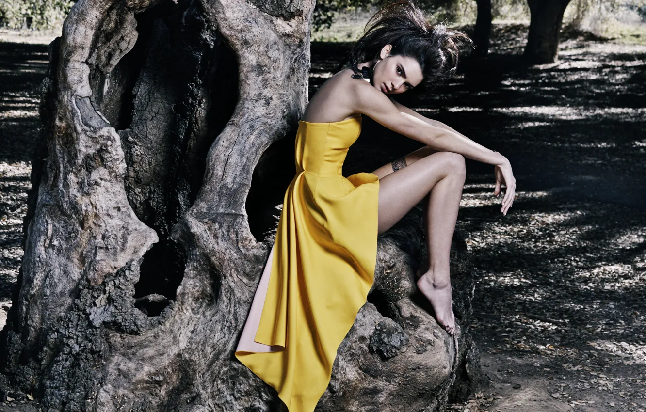 Фото обои поза, дерево, модель, сидит, Kendall Jenner, желтое платье