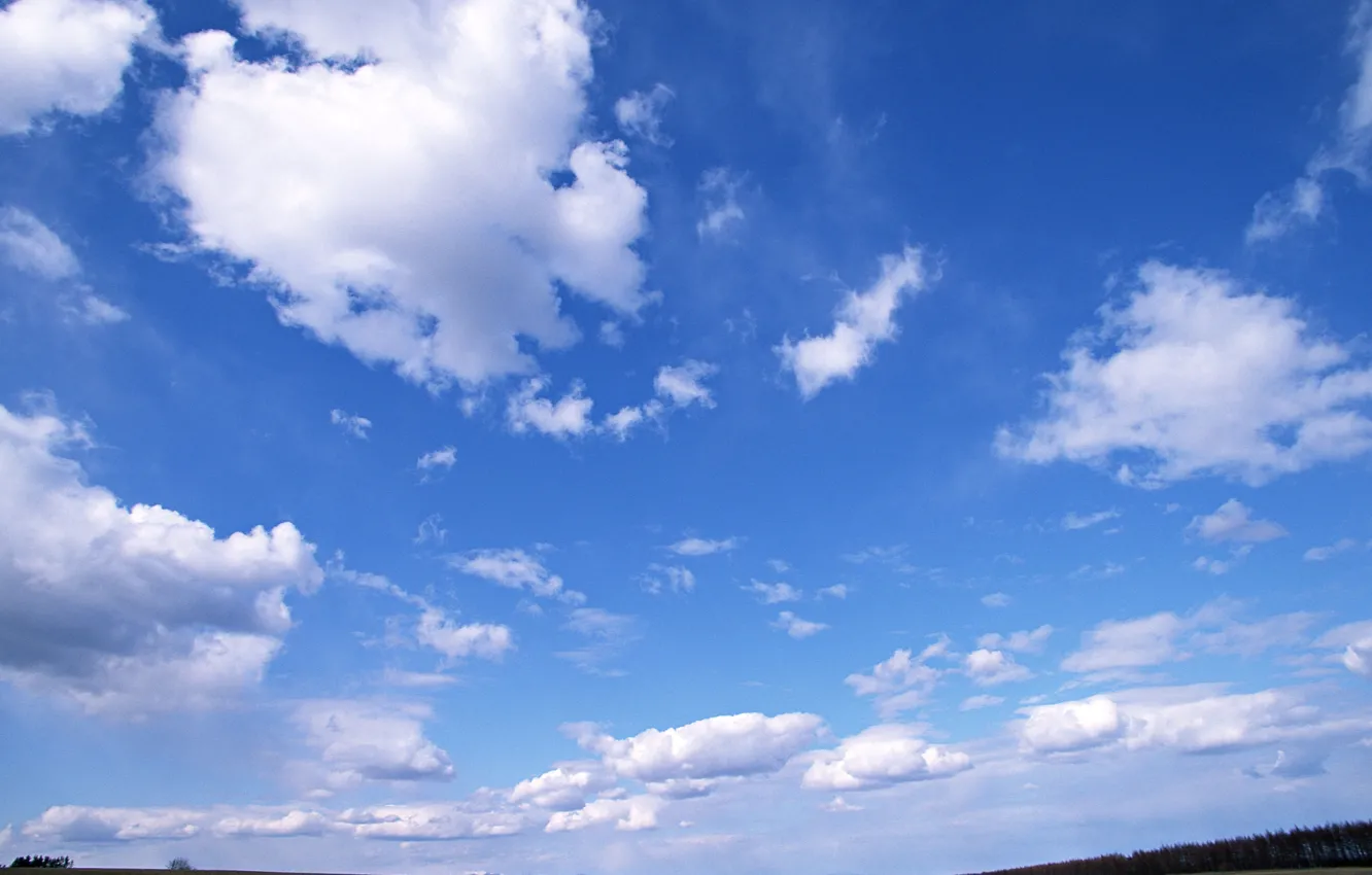 Фото обои небо, трава, облака