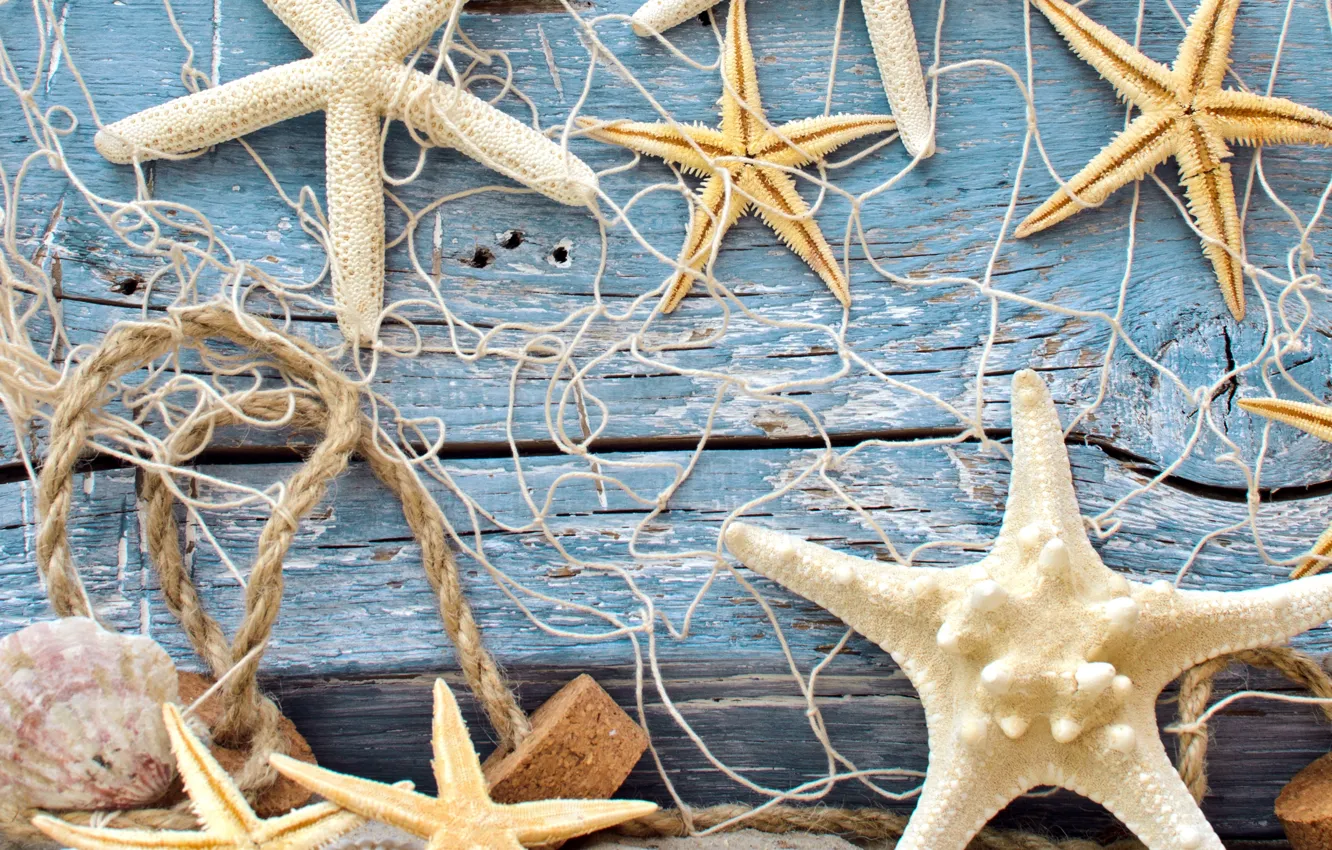 Фото обои морские звезды, net, wood, starfish, marine, seashells, песок