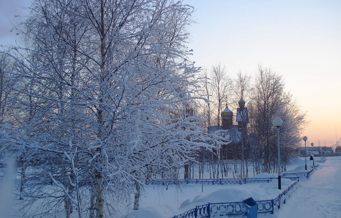 Фото обои деревья, церковь, мусорка