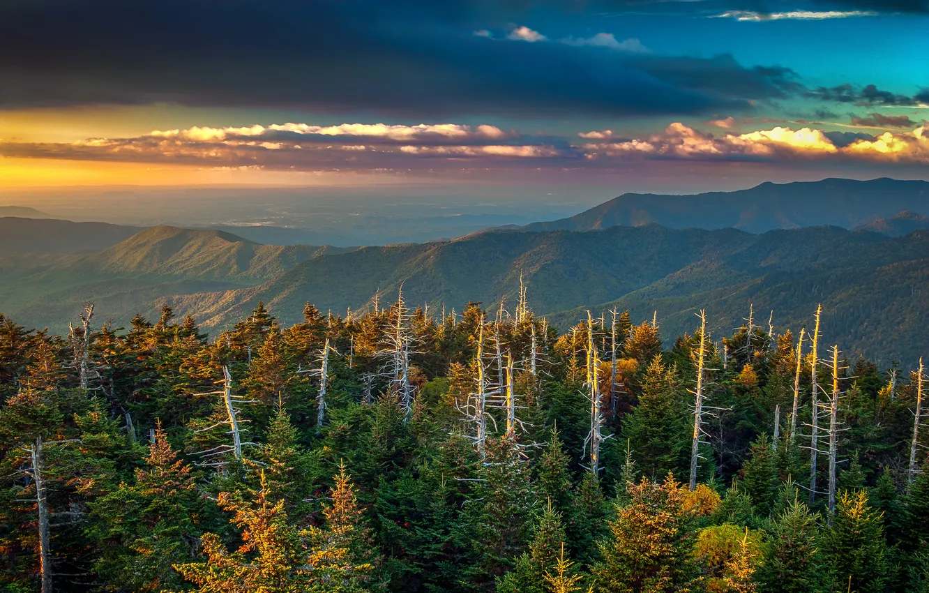 Фото обои лес, облака, деревья, горы, зарево, США, Кентукки
