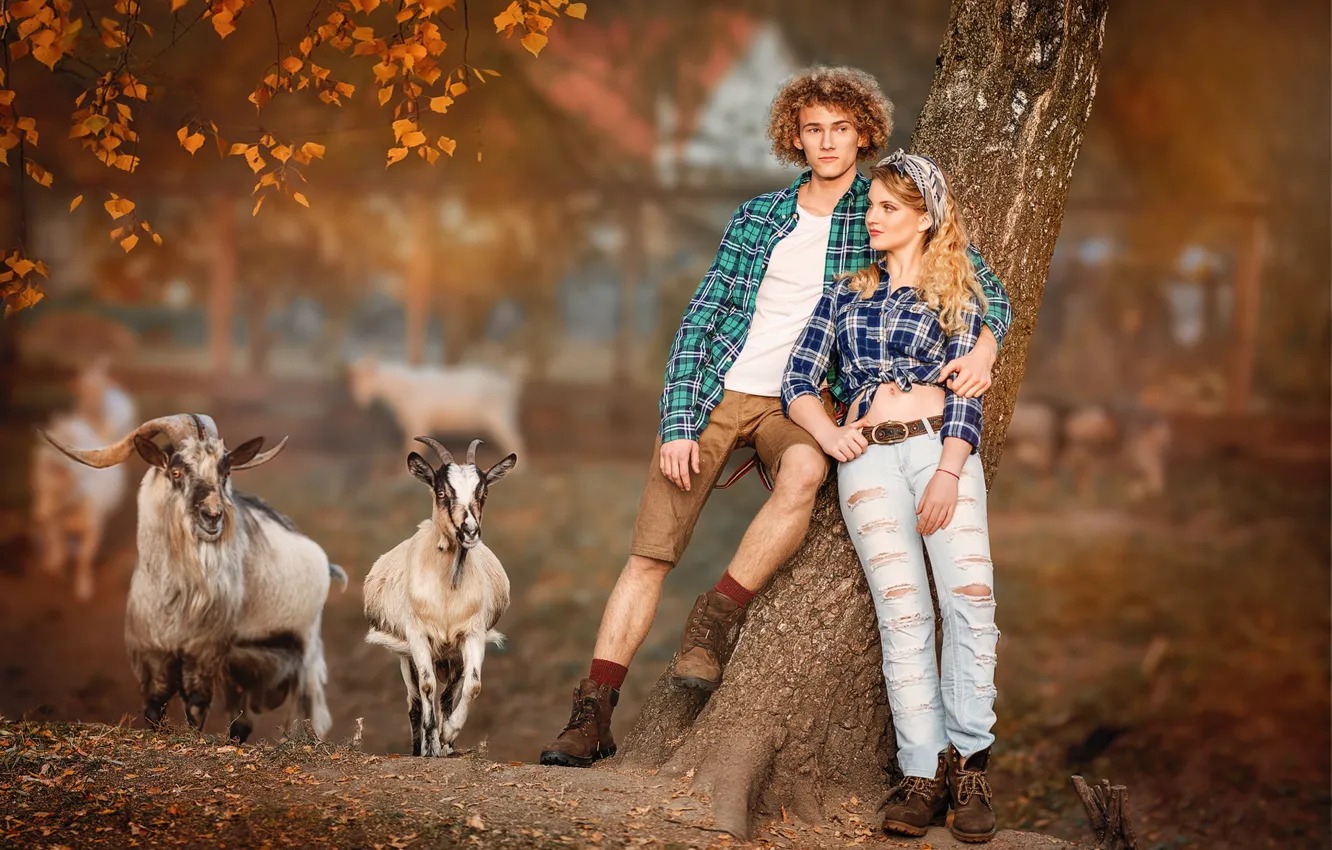 Фото обои осень, девушка, парень, коза, боке, козы, парочки, козёл