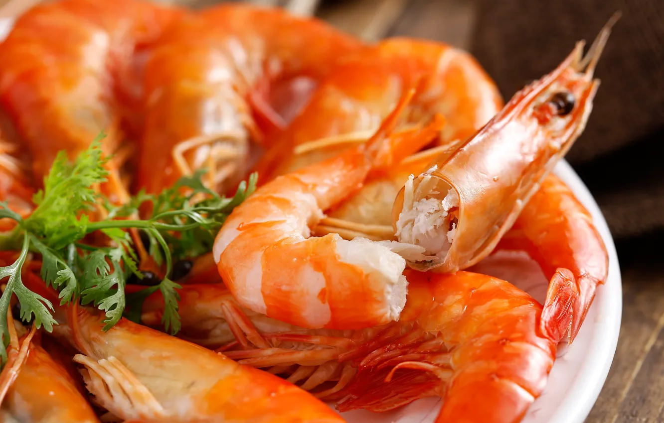 Фото обои зелень, морепродукты, Креветки