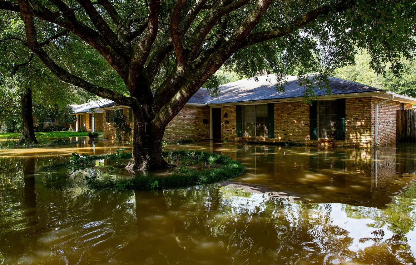 Фото обои вода, дом, отражение, дерево, наводнение