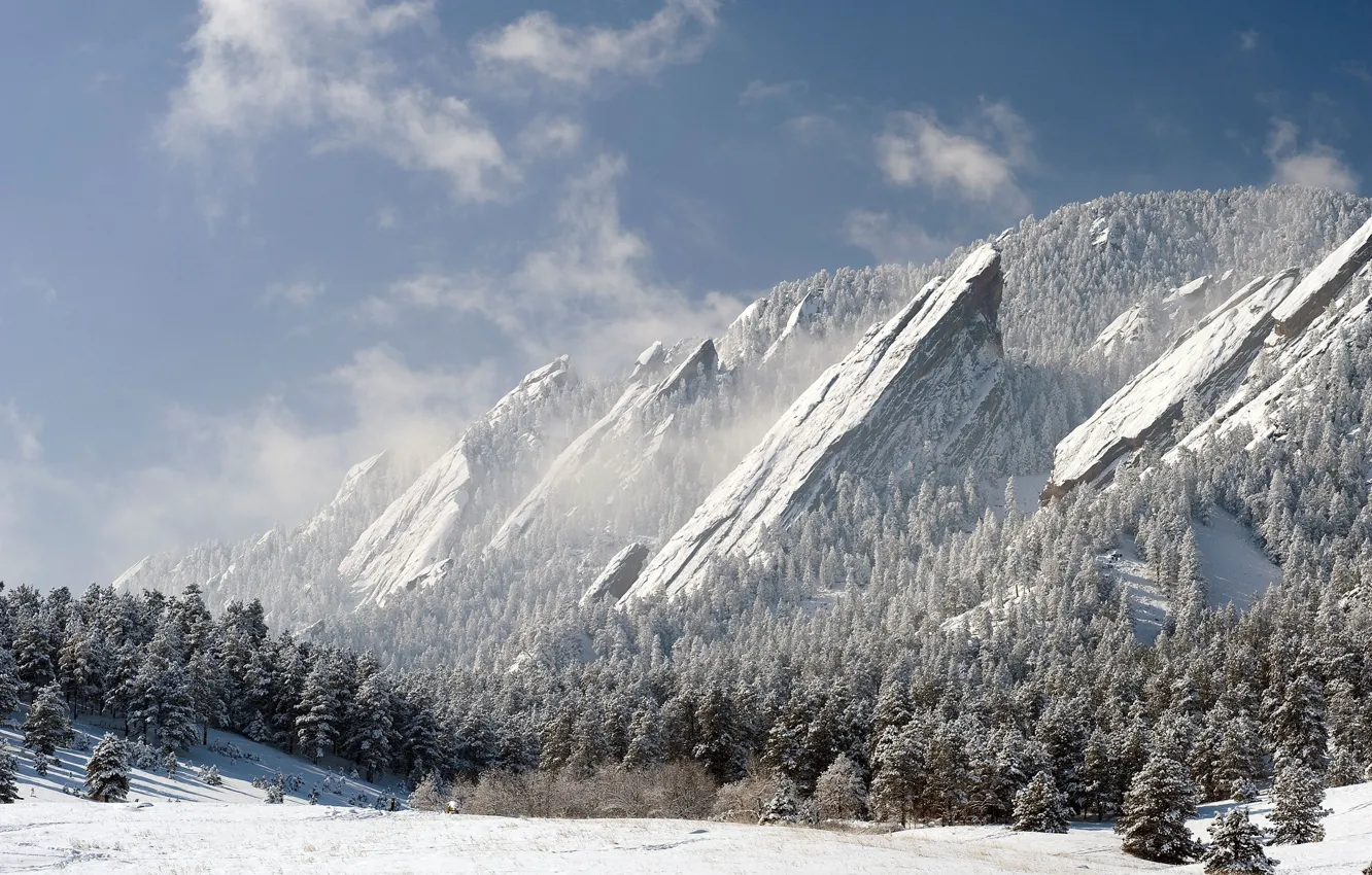 Фото обои зима, лес, снег, горы, скалы