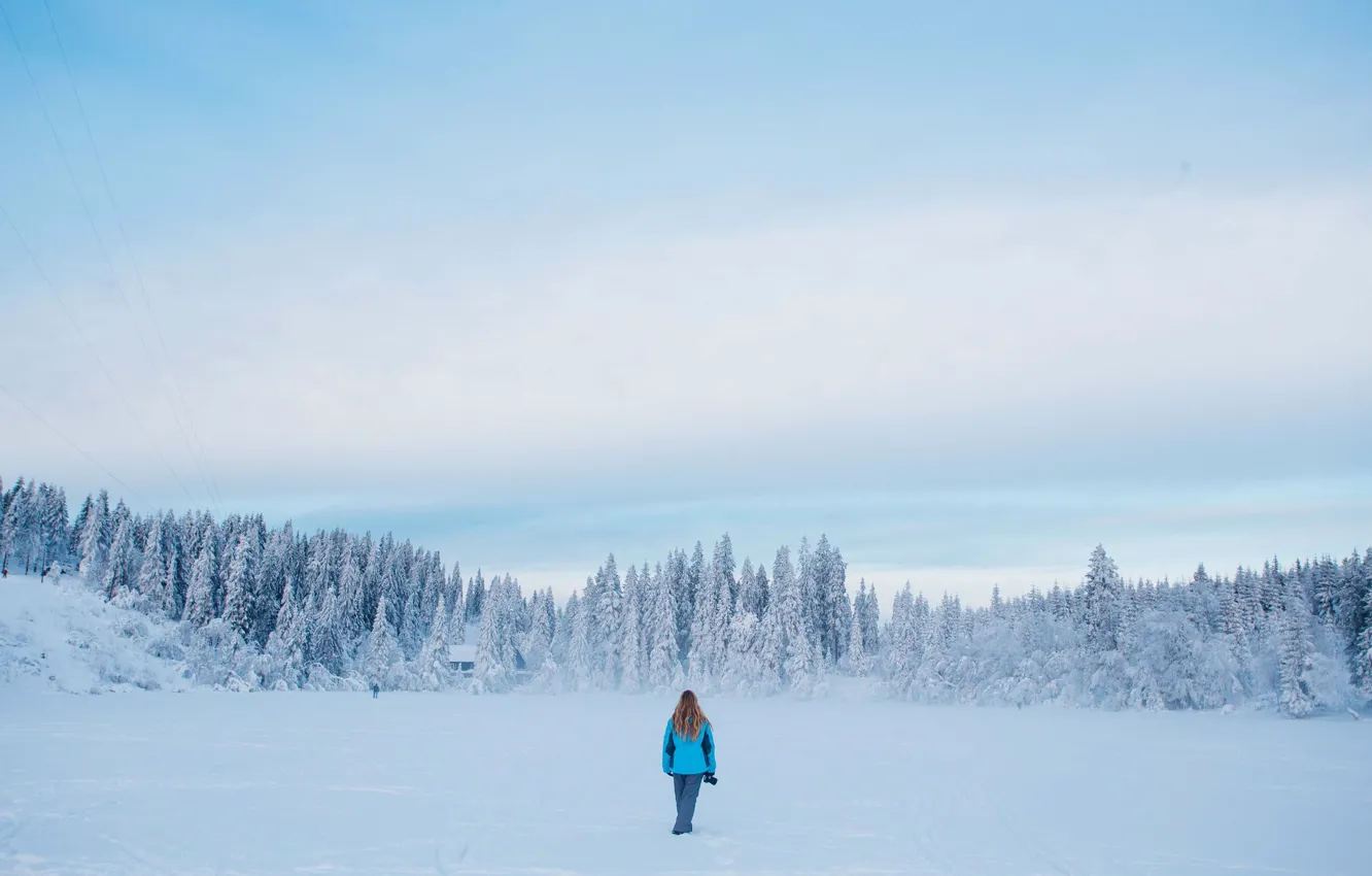 Фото обои girl, winter, lake, frozen