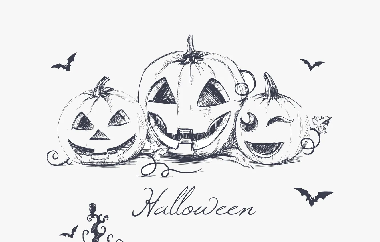 Фото обои минимализм, Хэллоуин, летучие мыши, halloween, minimalism, bats, evil pumpkins, hand drawing