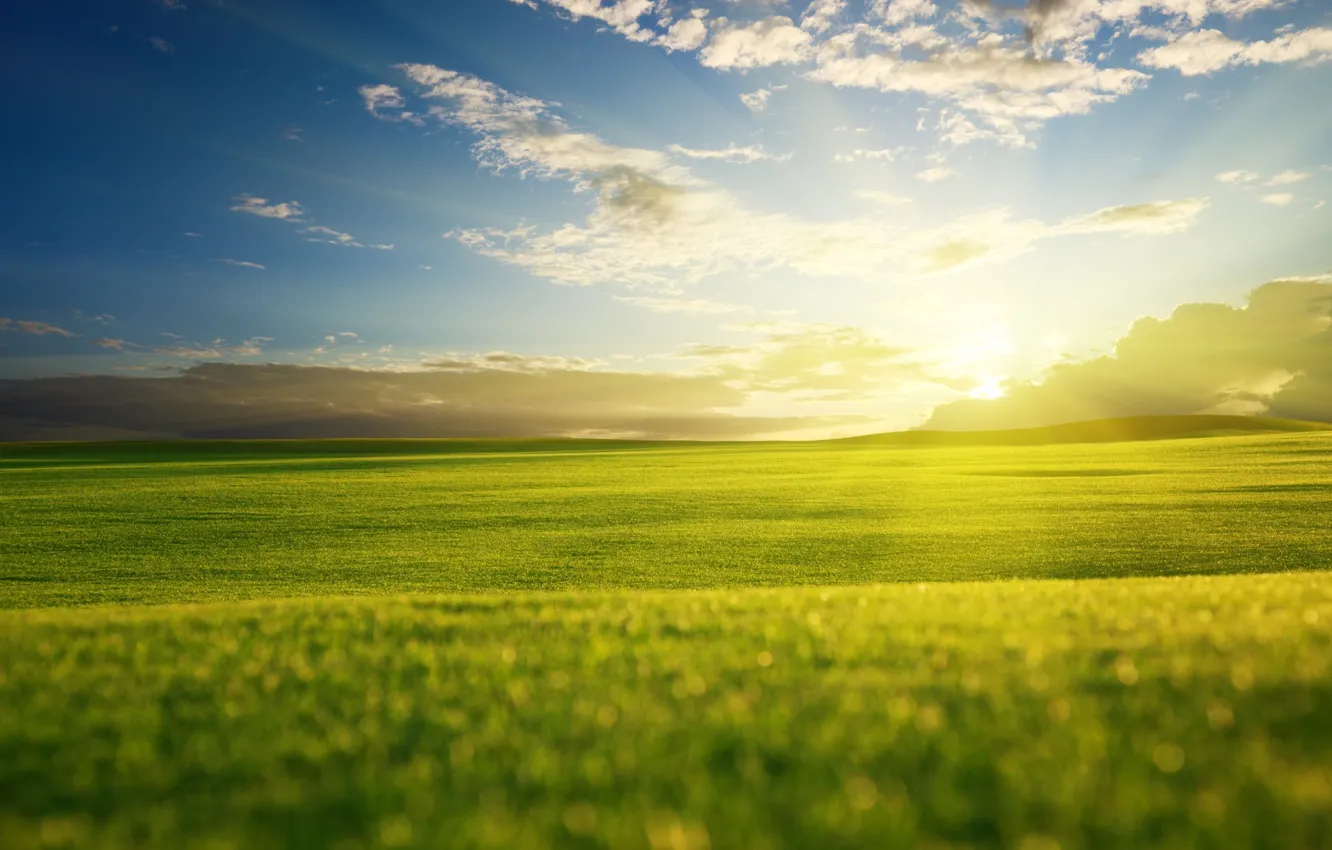 Фото обои зелень, поле, небо, трава, солнце, облака, лучи, свет
