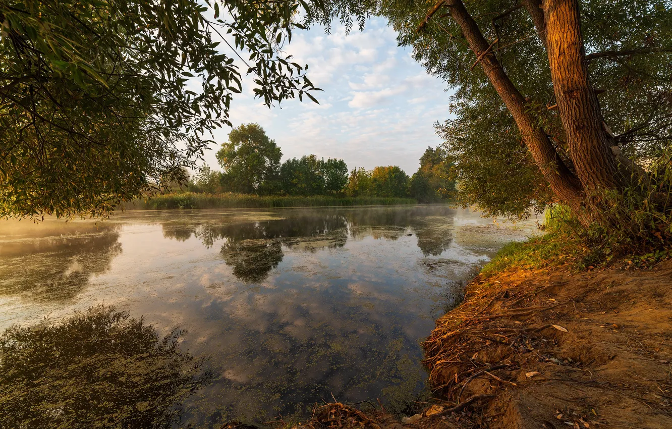 Фото обои деревья, пейзаж, природа, отражение, водоём
