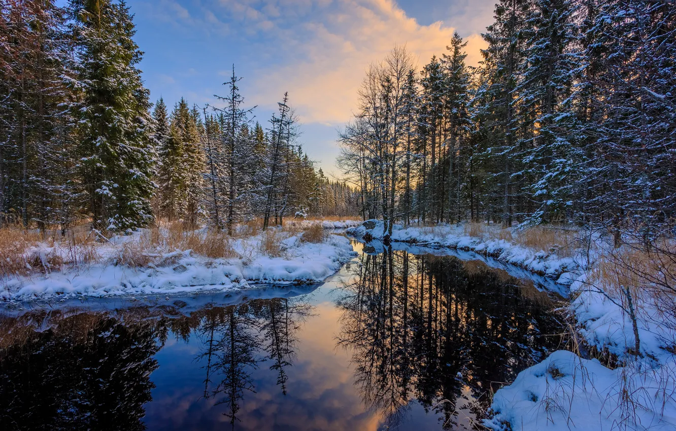 Фото обои зима, лес, вода, снег, деревья, отражение, сугробы, речка