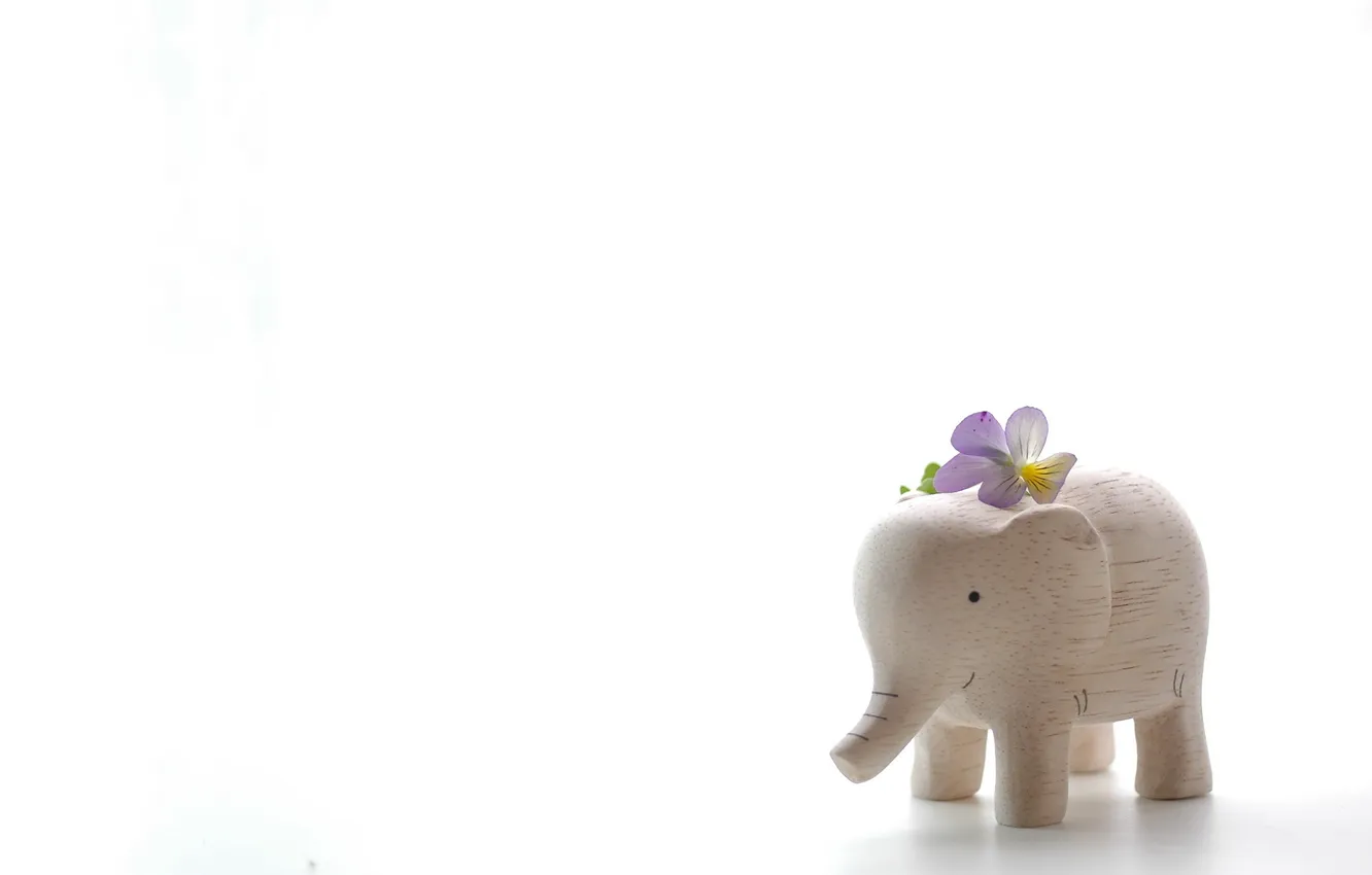 Фото обои цветок, фон, слон