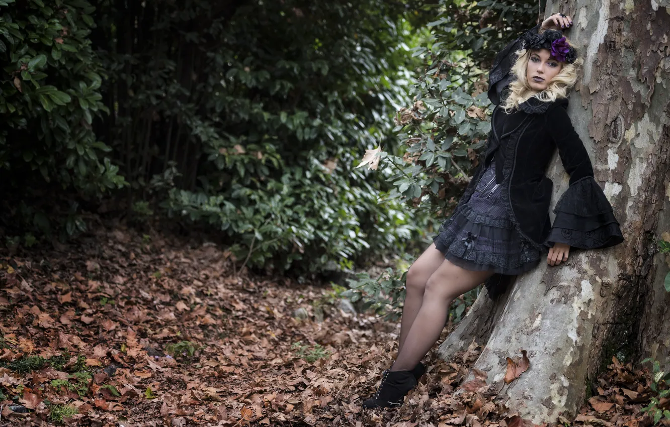 Фото обои взгляд, деревья, природа, стиль, модель, Deborah