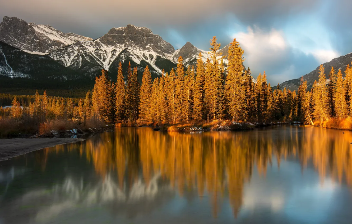 Фото обои осень, лес, горы, река, Канада, Альберта, Alberta, Canada