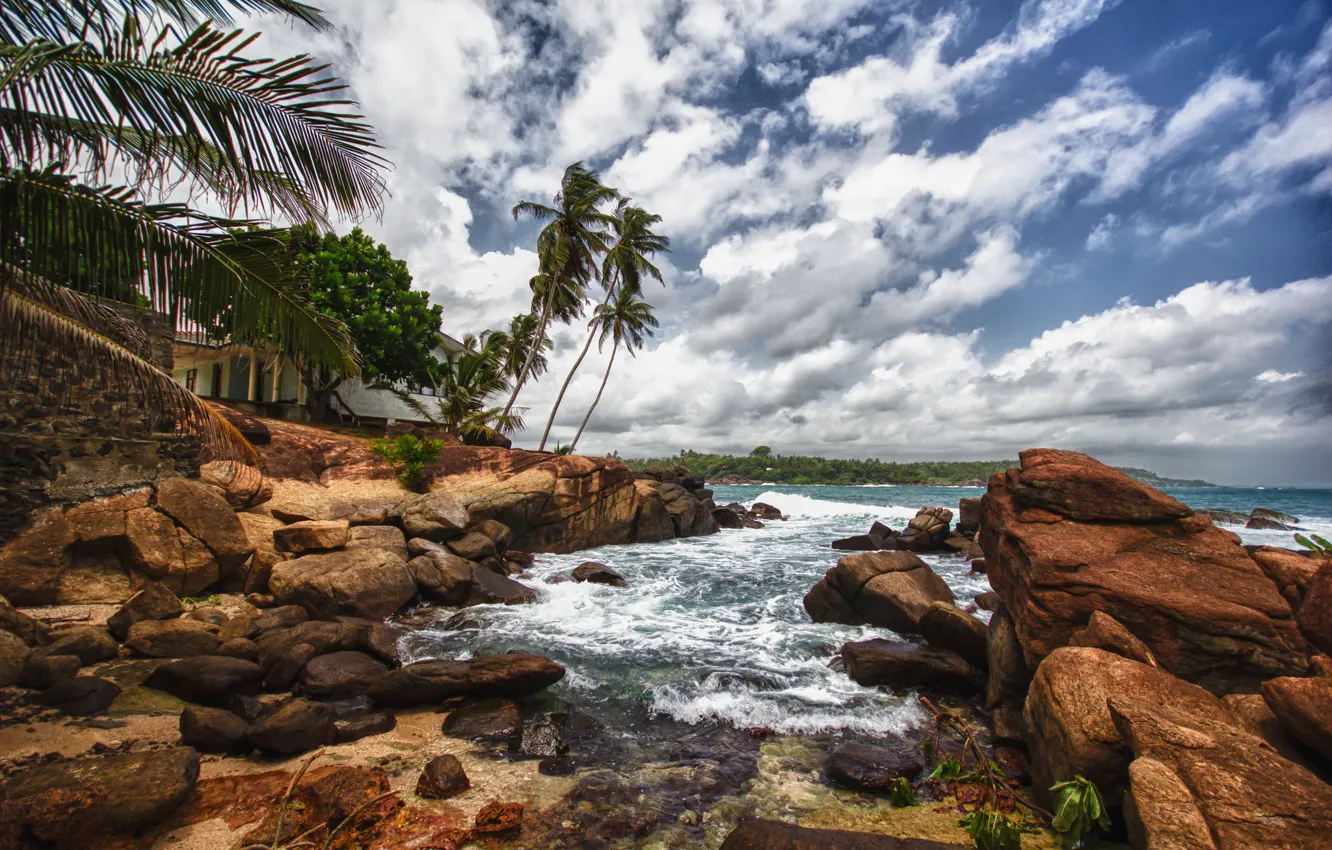 Фото обои пляж, камни, пальмы, Шри-Ланка