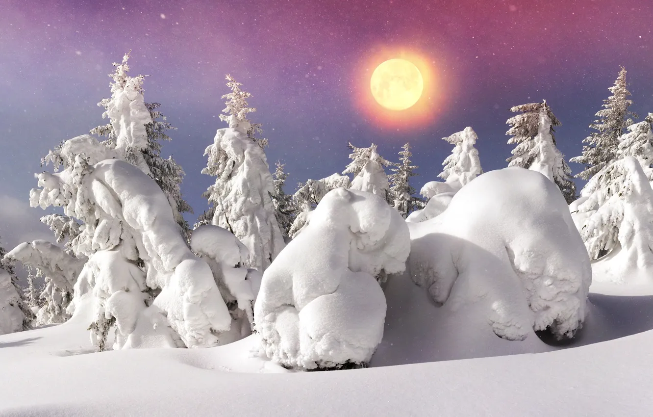 Фото обои зима, лес, небо, солнце, снег, деревья, снежинки, сугробы