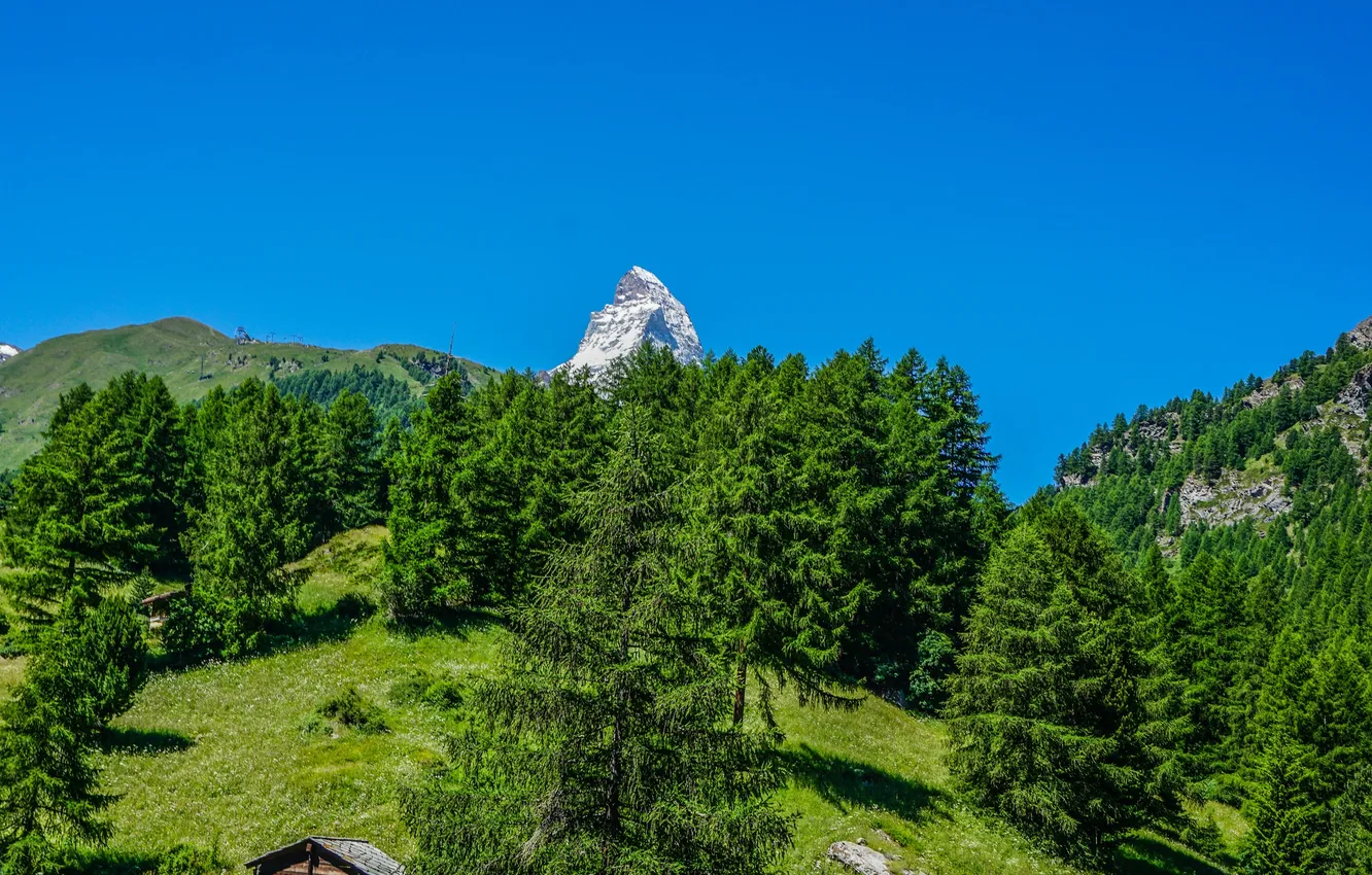 Фото обои зелень, лето, небо, солнце, деревья, горы, голубое, Швейцария