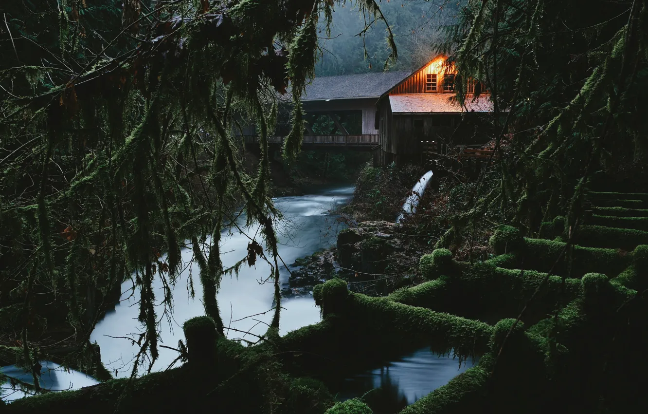 Фото обои лес, пейзаж, мост, природа, дом, река, сумерки